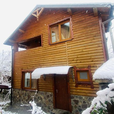 Котедж Гірський Yaremche Dış mekan fotoğraf