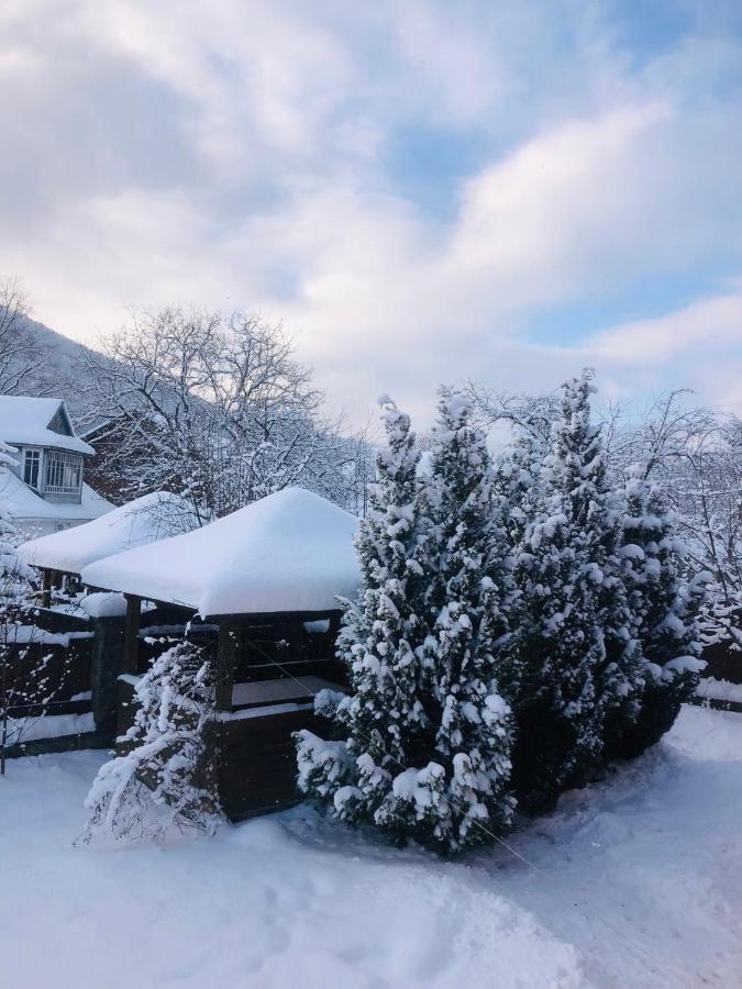Котедж Гірський Yaremche Dış mekan fotoğraf