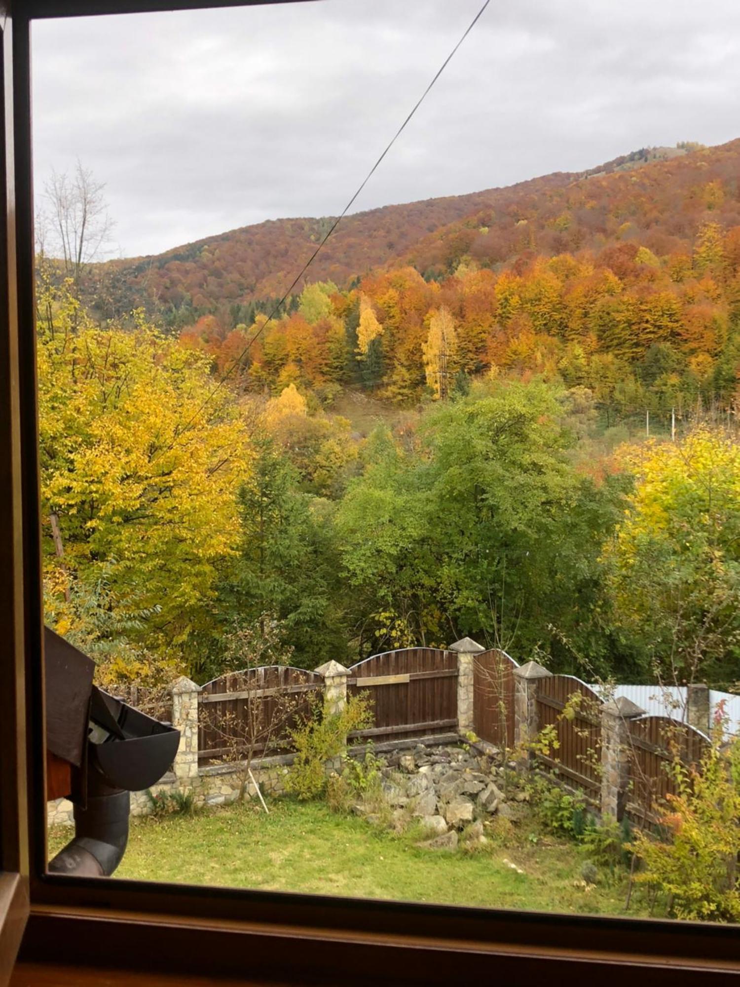Котедж Гірський Yaremche Dış mekan fotoğraf