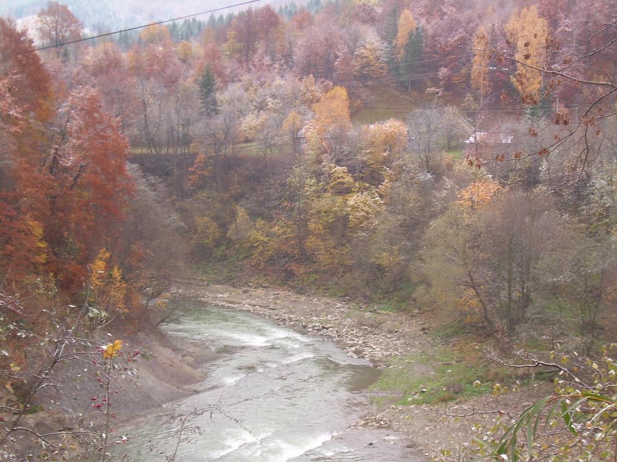 Котедж Гірський Yaremche Dış mekan fotoğraf
