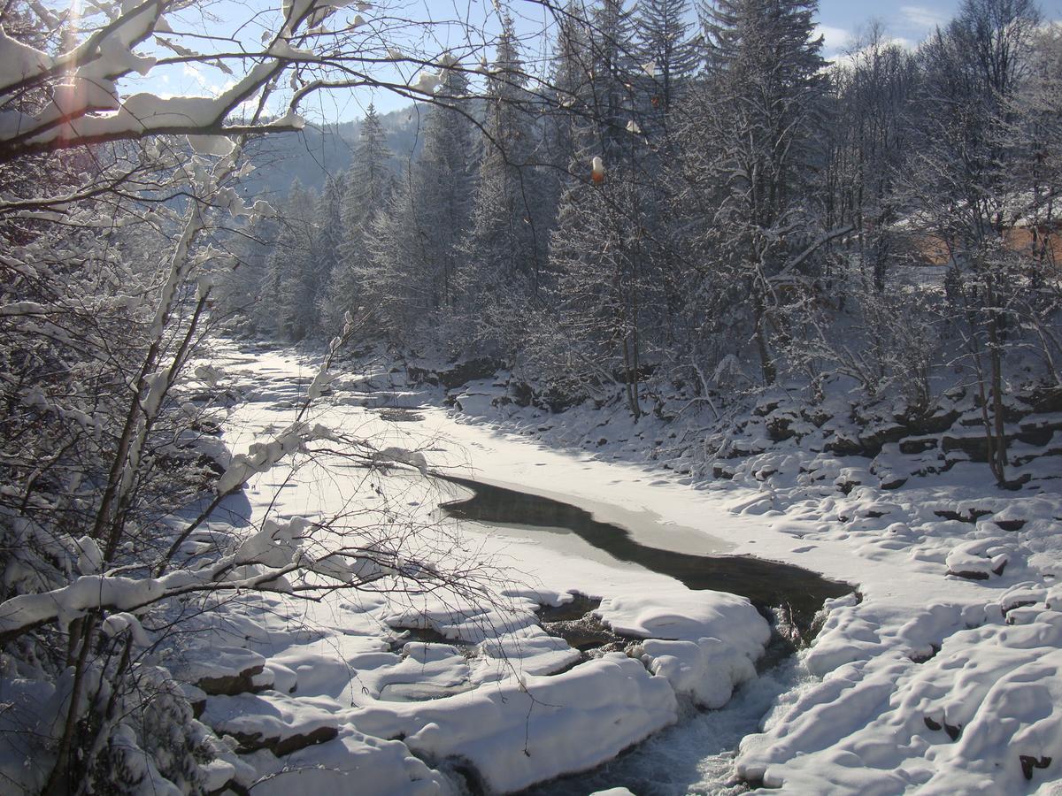 Котедж Гірський Yaremche Dış mekan fotoğraf