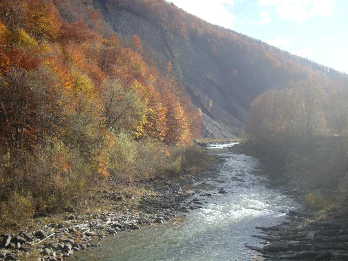 Котедж Гірський Yaremche Dış mekan fotoğraf