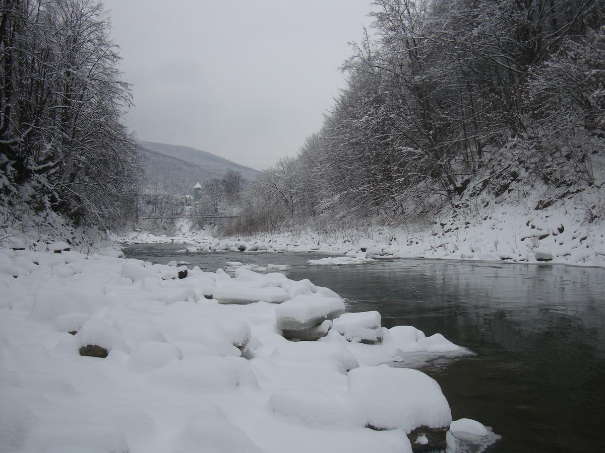 Котедж Гірський Yaremche Dış mekan fotoğraf