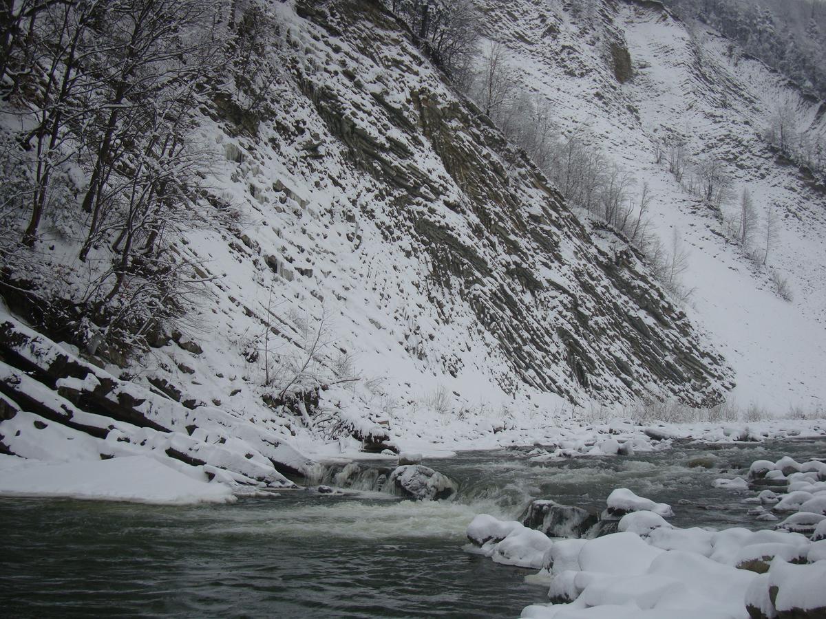Котедж Гірський Yaremche Dış mekan fotoğraf